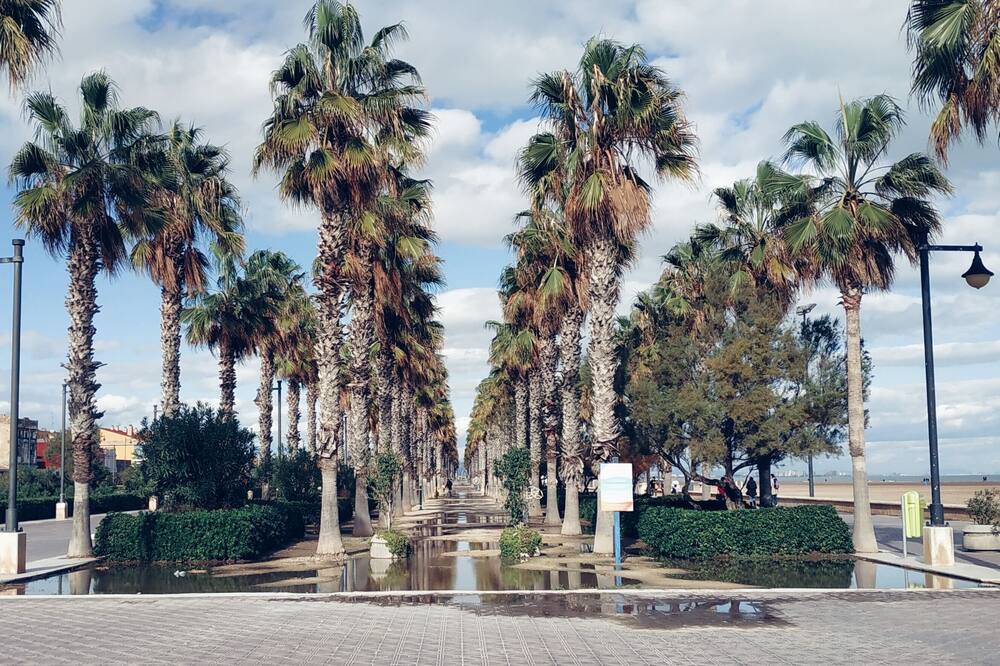 Photo of Outdoor in Alaquas