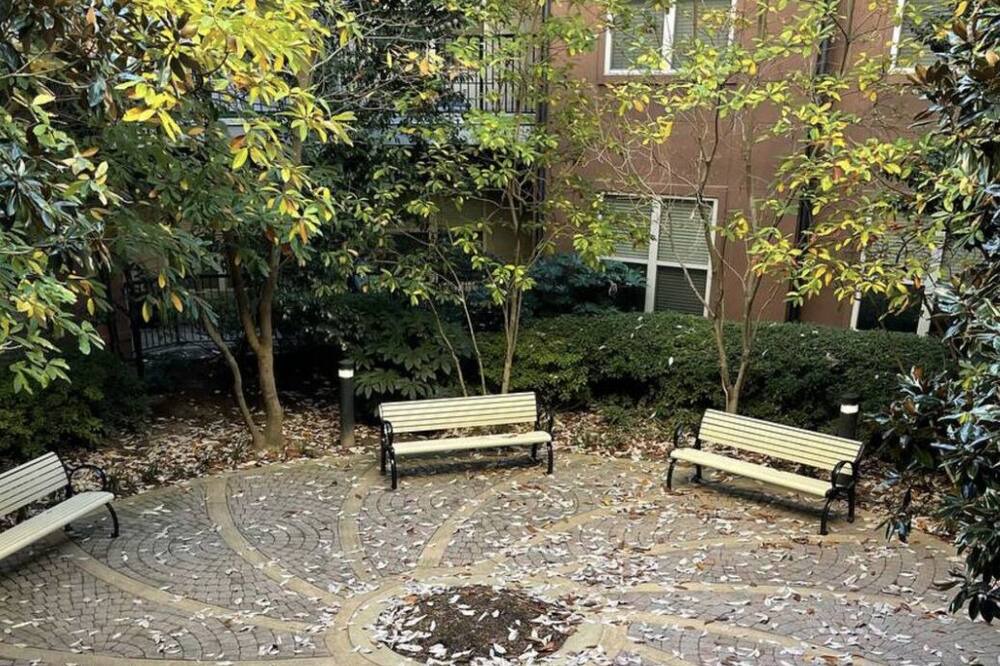 Photo of Outdoor in Knight Park