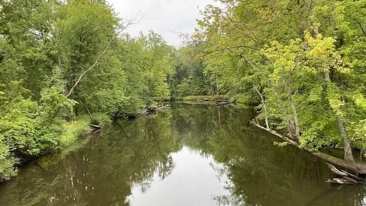 Photo of Outdoor in Sumner