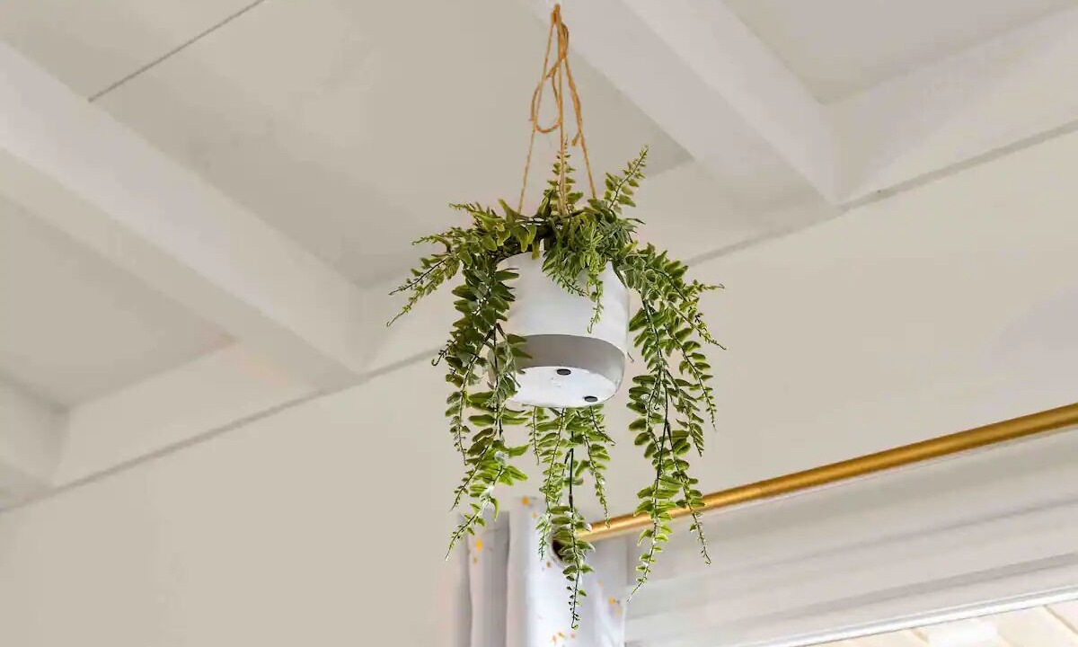 Photo of Others in East San Mateo