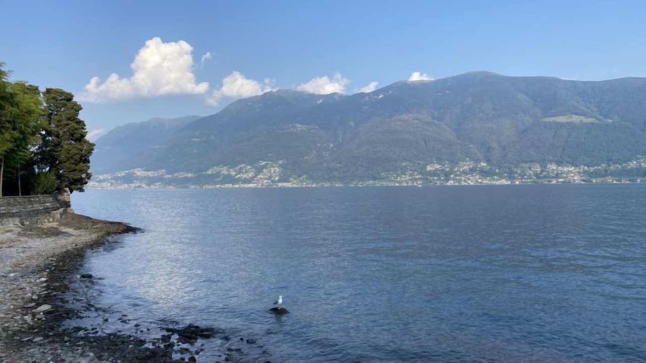 Photo of Outdoor in Muralto