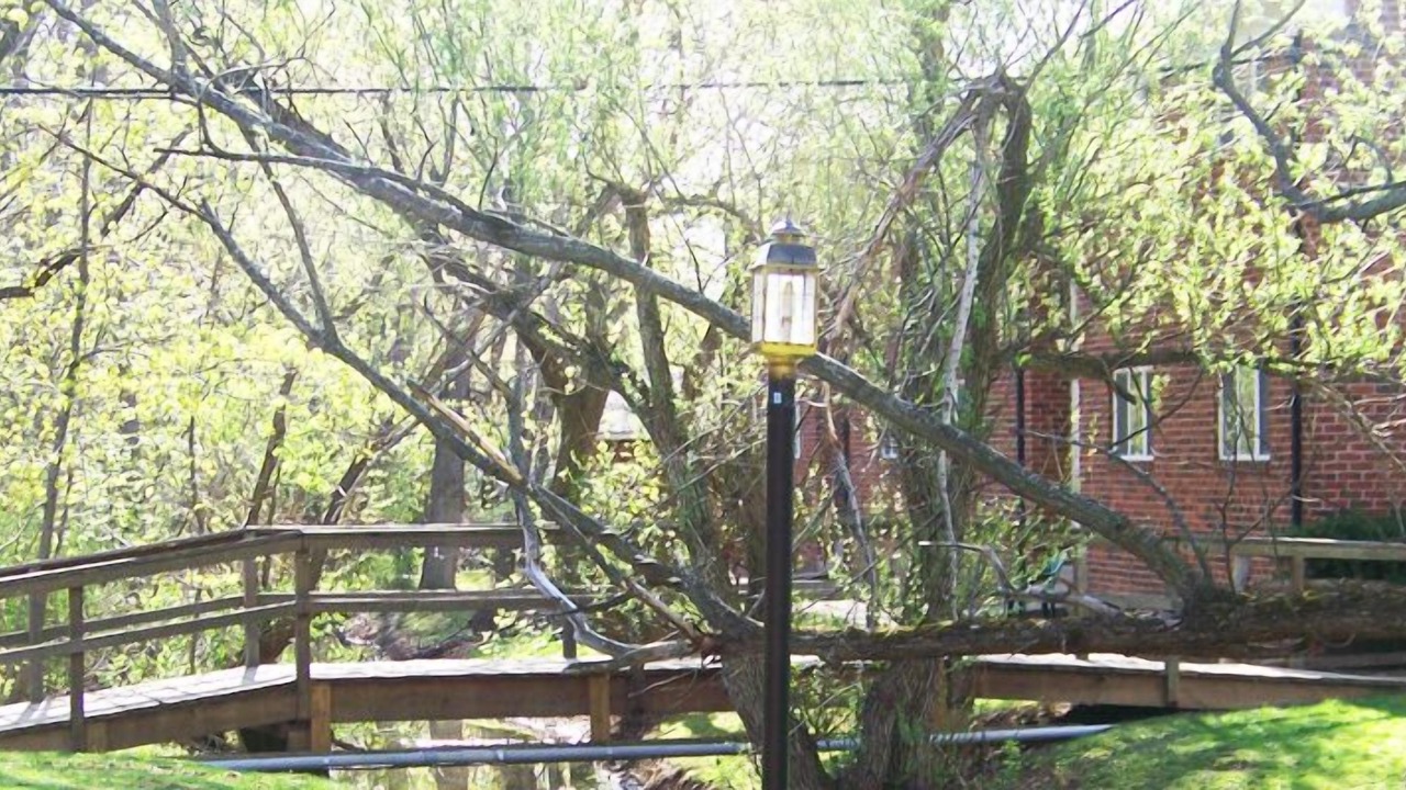 Photo of Outdoor in Brockport
