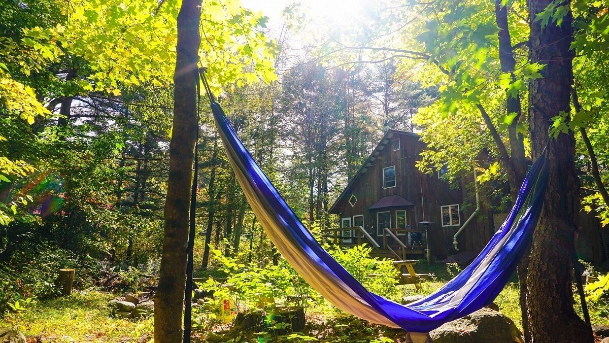 Photo of Outdoor in Wevertown