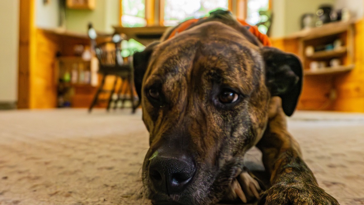 Photo of Others in Wevertown