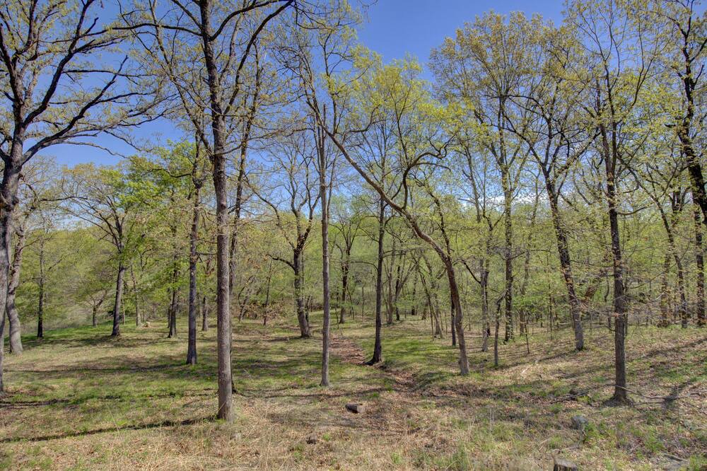 Photo of Outdoor in Verdigris