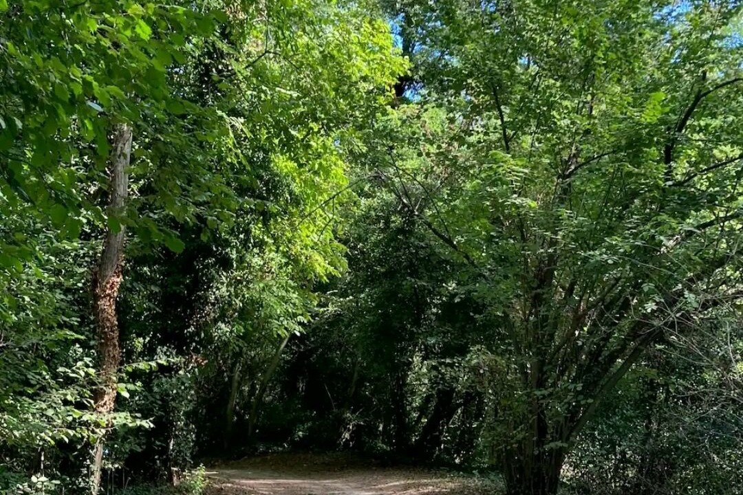 Photo of Outdoor in Saint-Paulet-de-Caisson