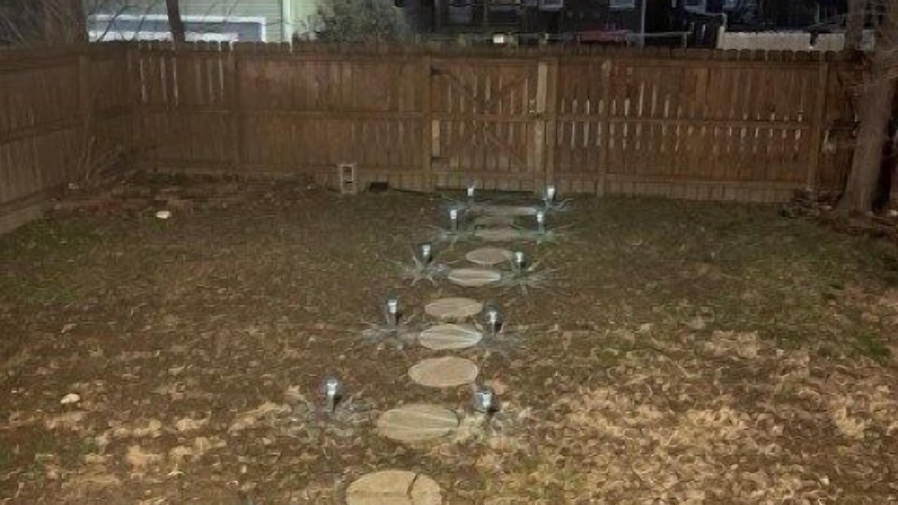 Photo of Outdoor in Tower Grove East