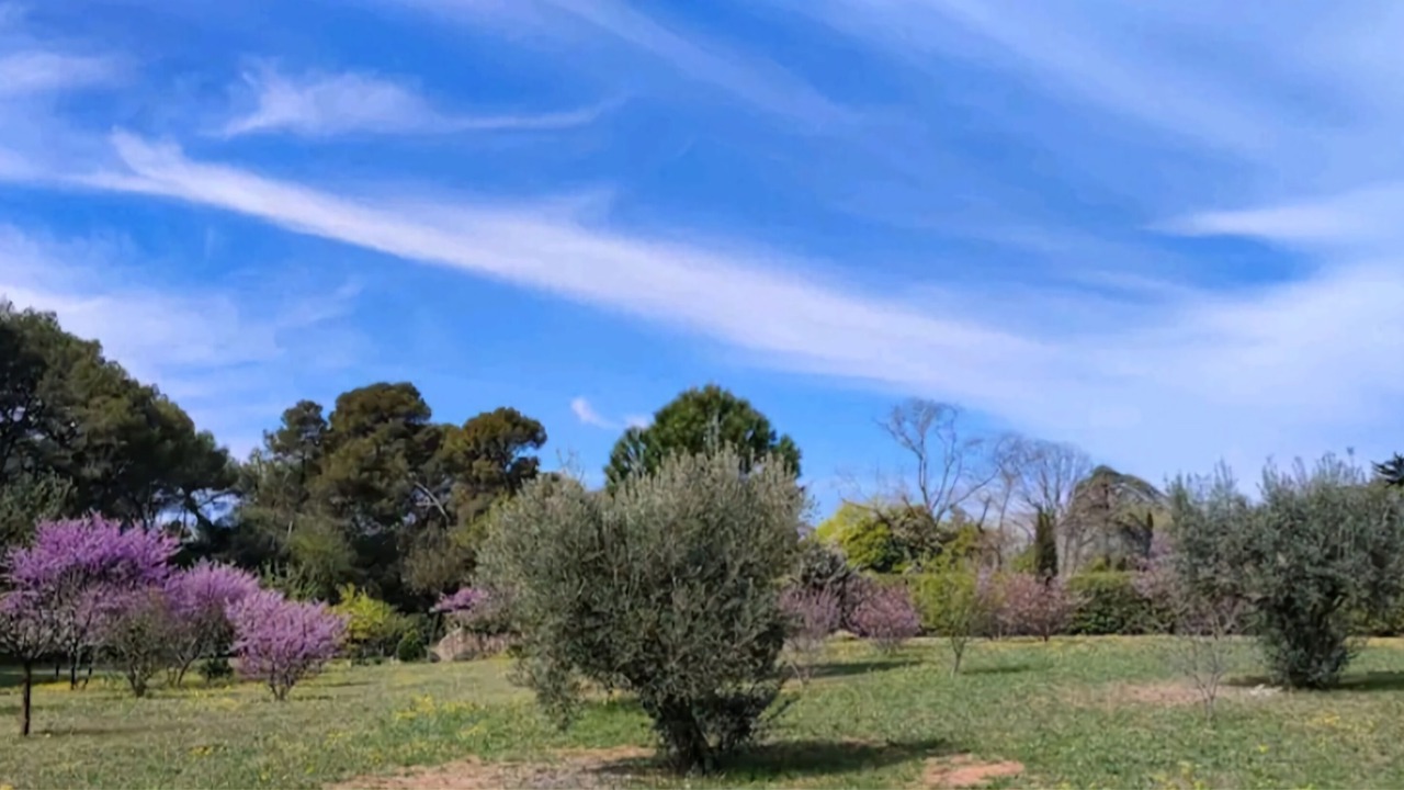 Photo of Outdoor in Puisserguier