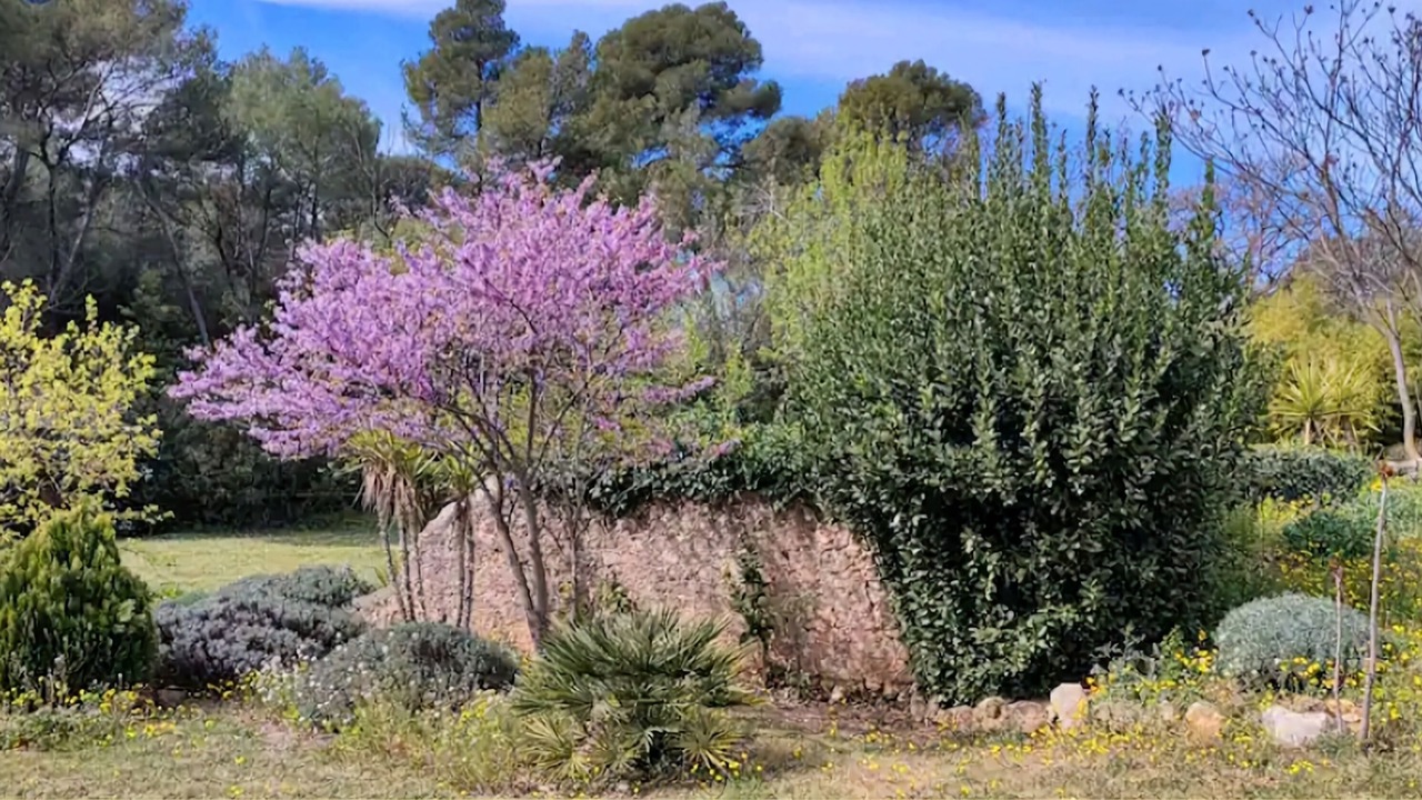 Photo of Outdoor in Puisserguier