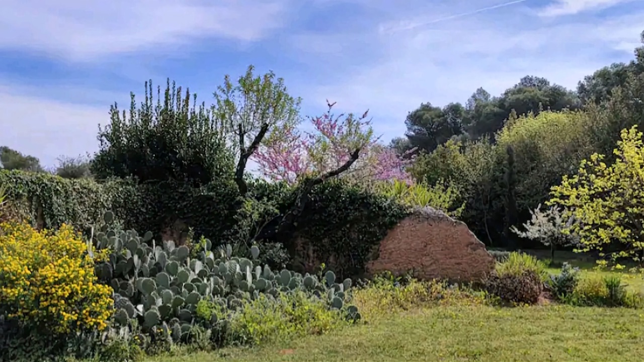 Photo of Outdoor in Puisserguier