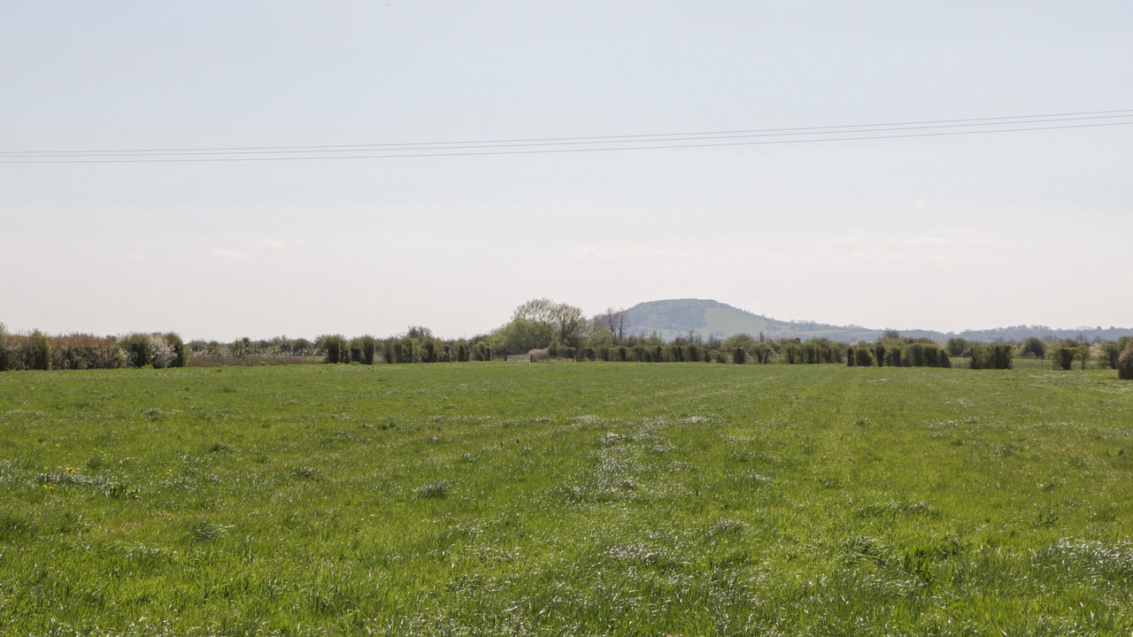 Photo of Others in Weston-super-Mare