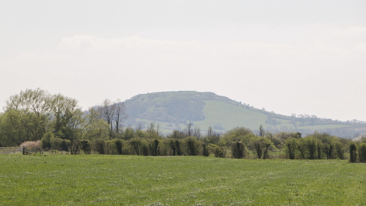 Photo of Others in Weston-super-Mare