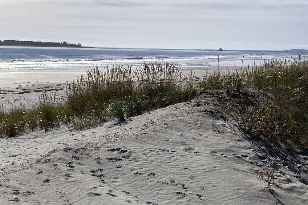 Photo of Others in Beach Meadows