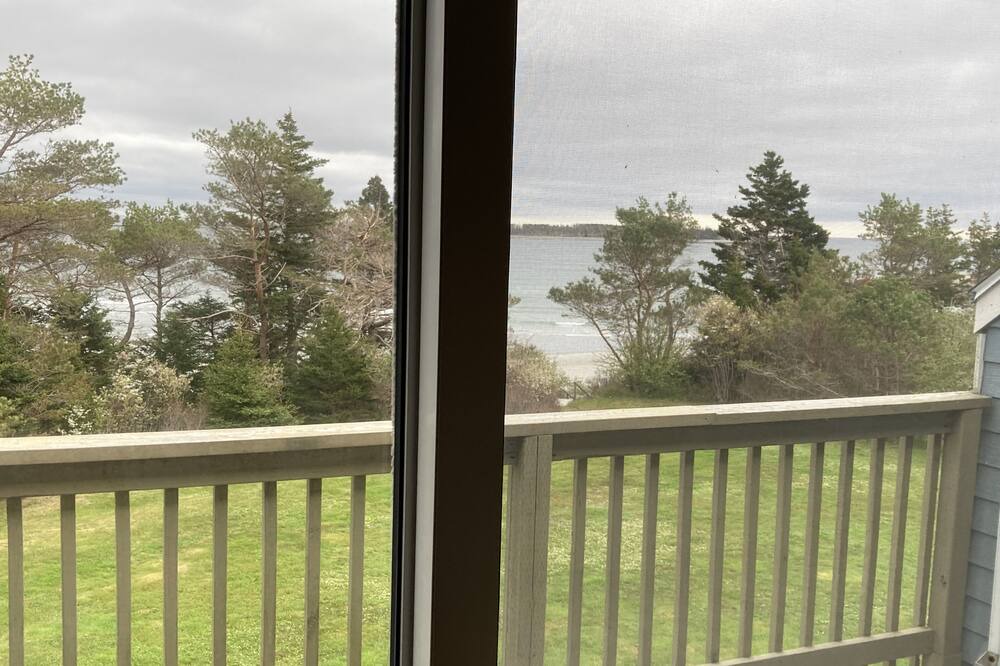 Photo of Outdoor in Beach Meadows