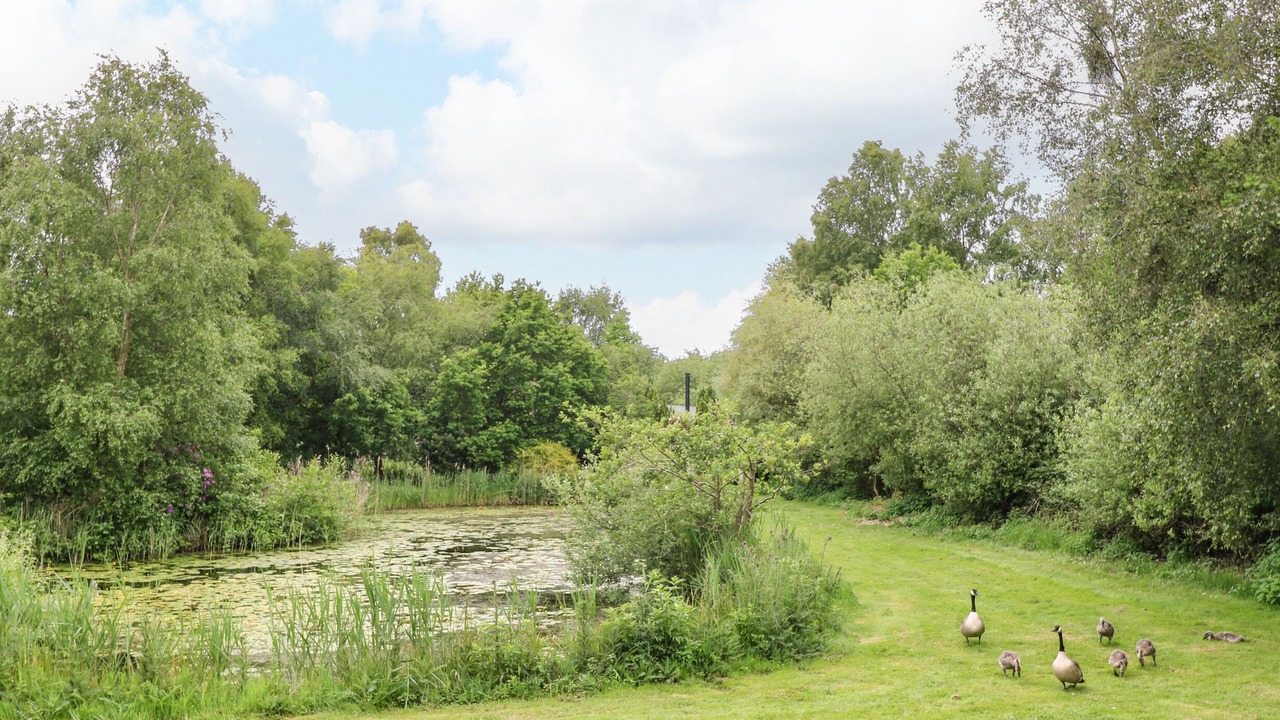 Photo of Others in Irstead