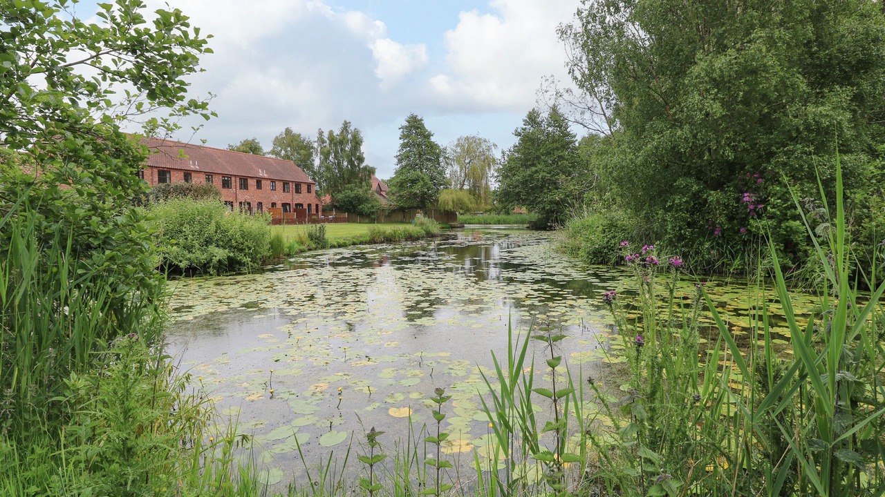 Photo of Others in Irstead