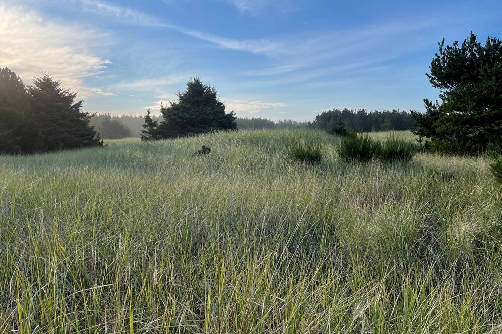 Photo of Outdoor in Long Beach