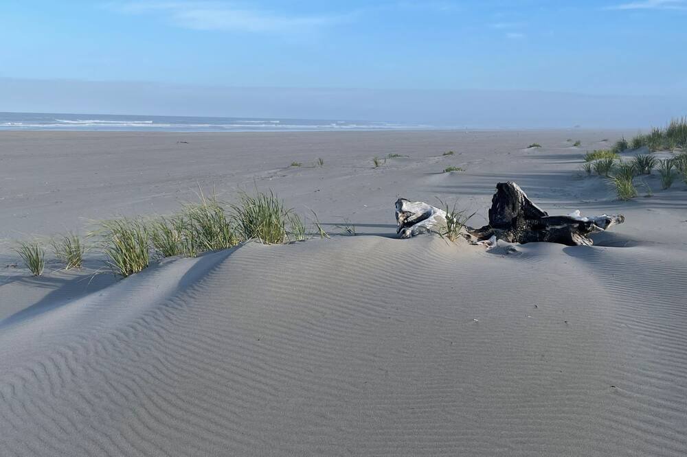 Photo of Others in Long Beach