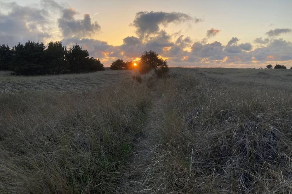 Photo of Outdoor in Long Beach
