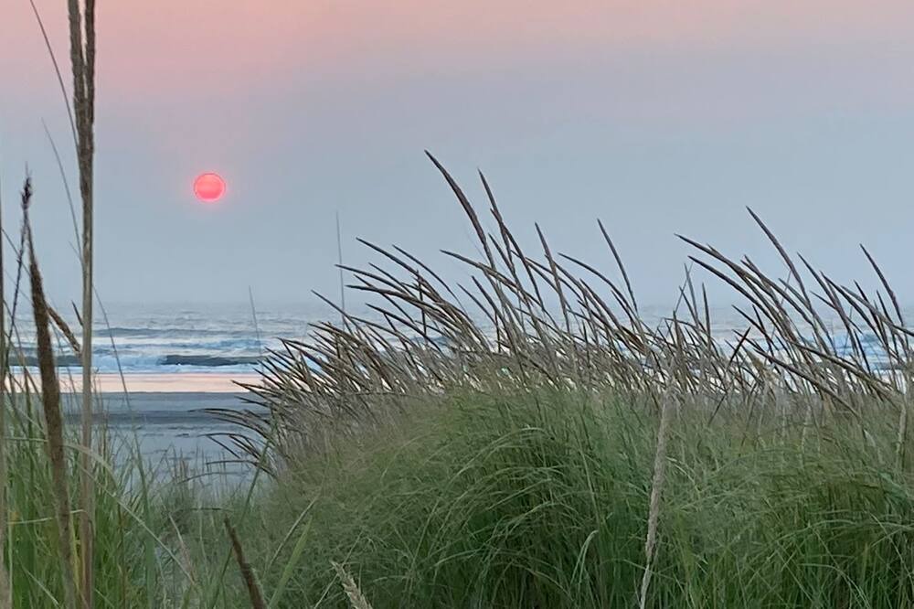 Photo of Others in Long Beach