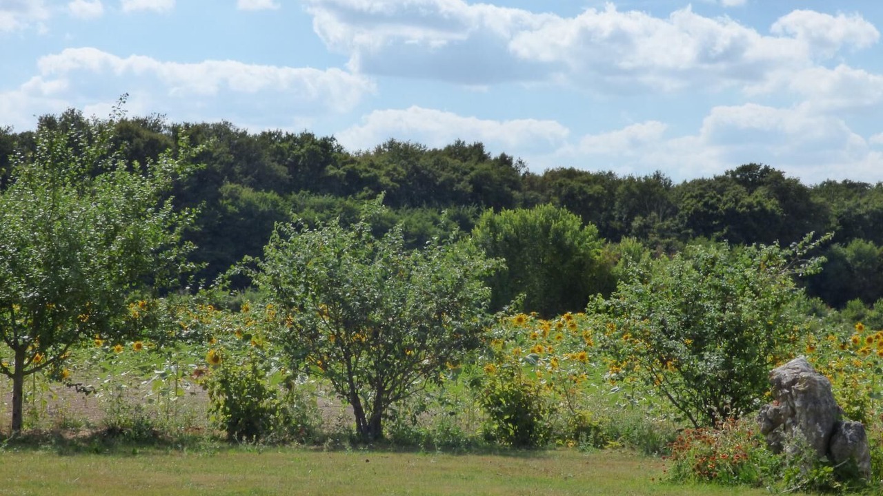 Photo of Outdoor in Leigne-les-Bois
