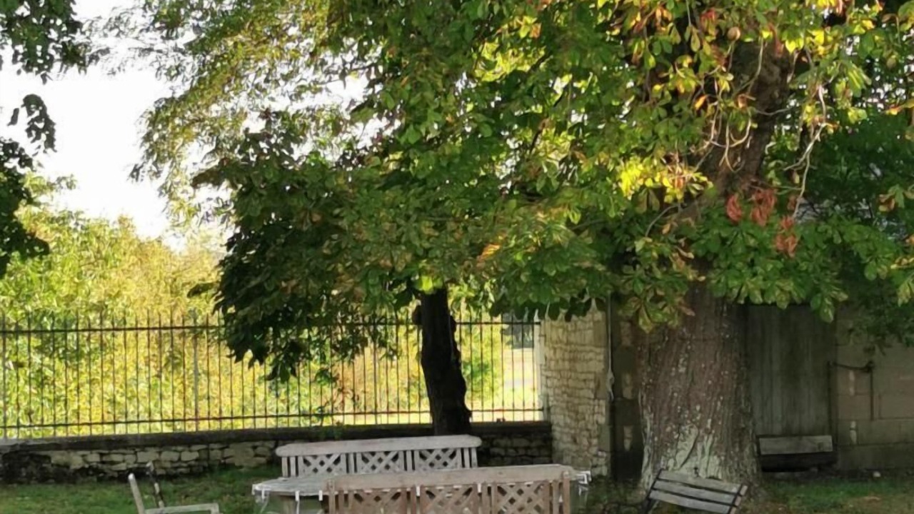 Photo of Outdoor in La Roche-Rigault