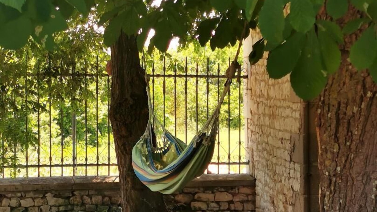 Photo of Outdoor in La Roche-Rigault