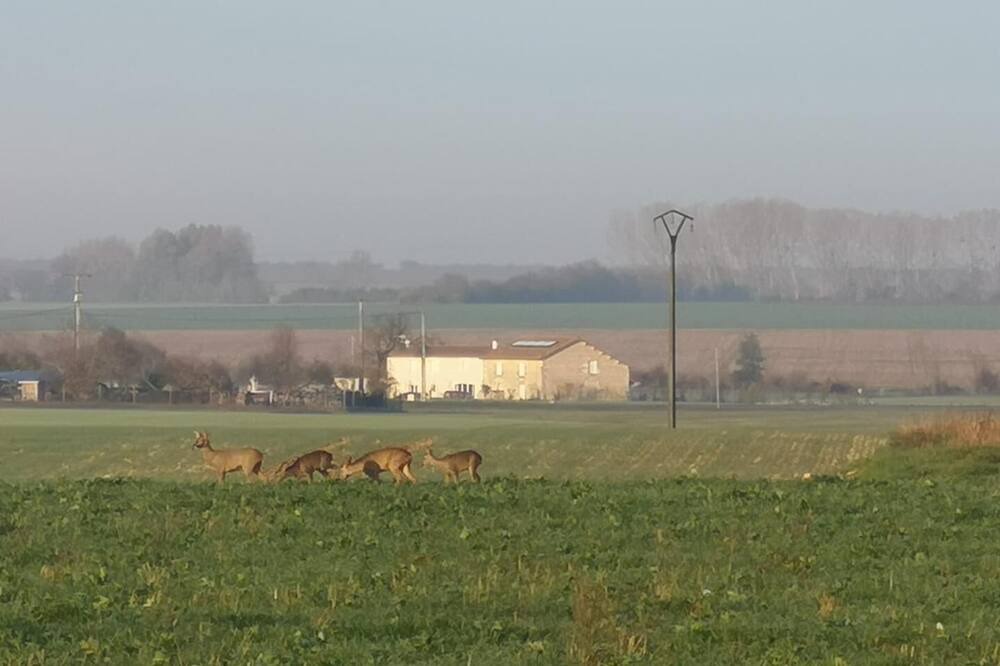 Photo of Outdoor in Cuhon