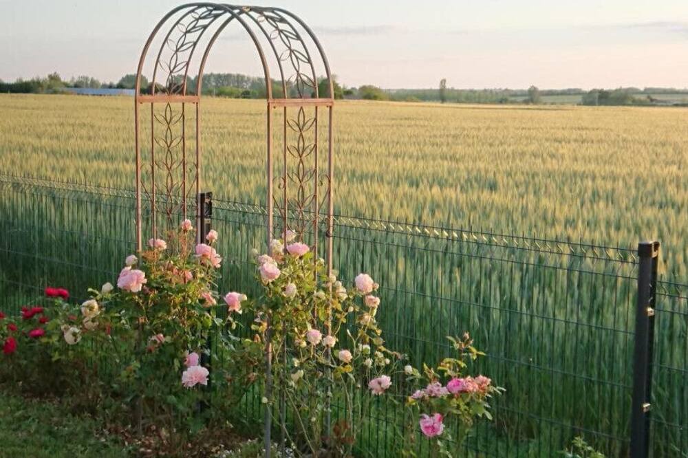 Photo of Outdoor in Cuhon