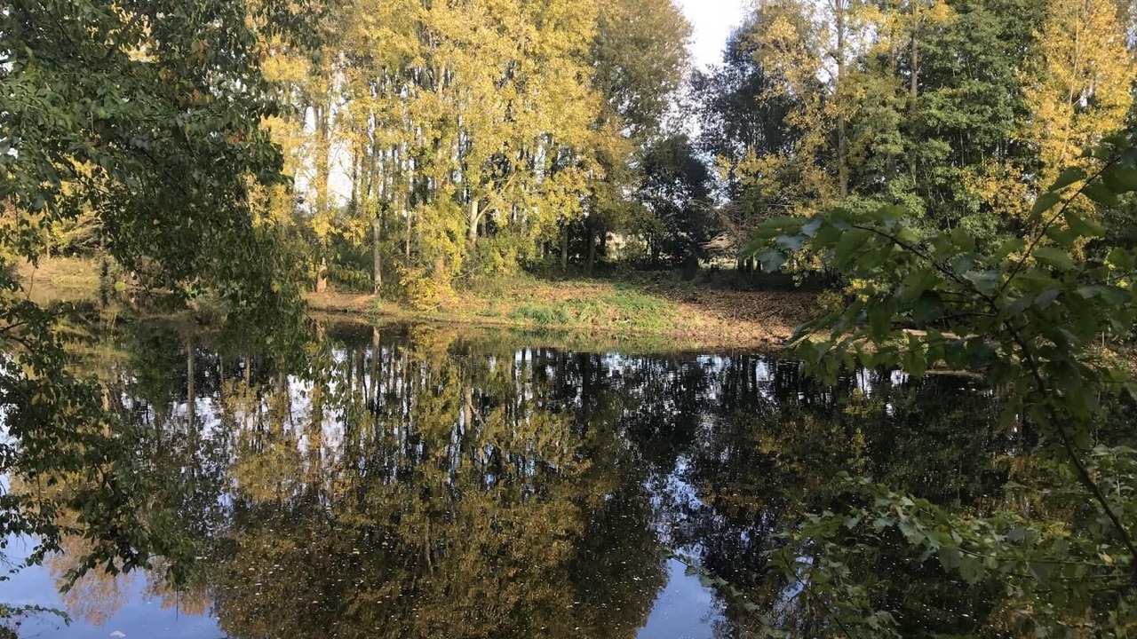 Photo of Others in Vicq-sur-Gartempe