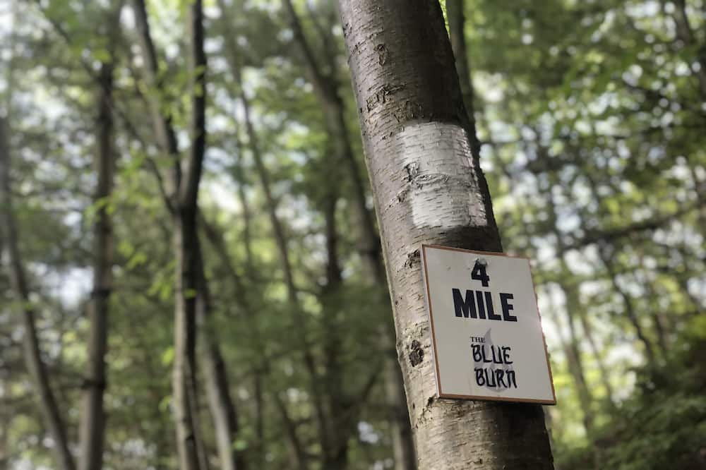 Photo of Outdoor in Aquashicola