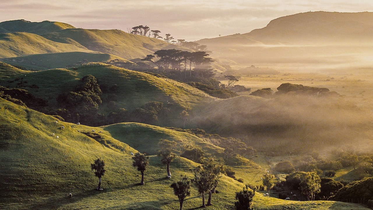 Photo of Outdoor in Te Akau