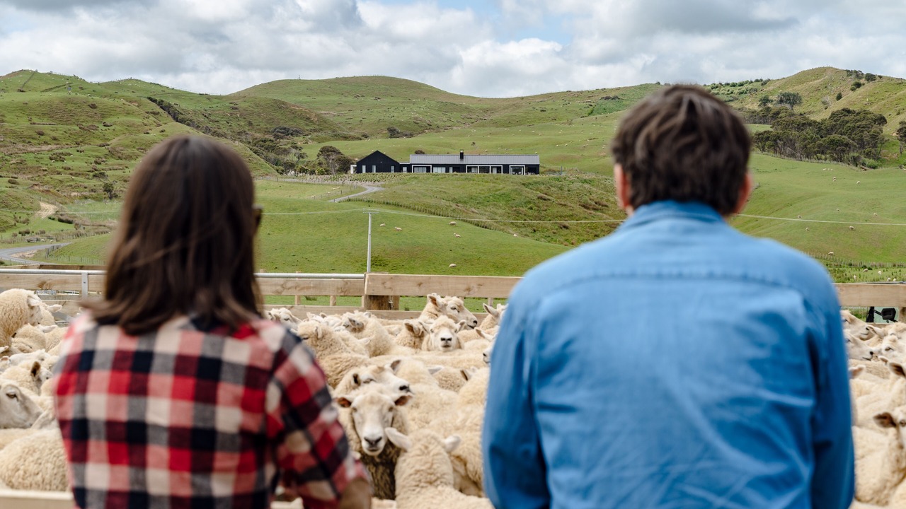 Photo of Others in Te Akau