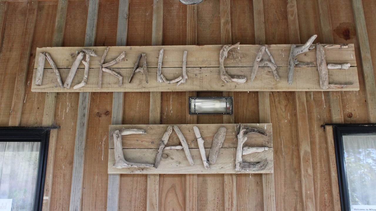 Photo of Others in Te Akau