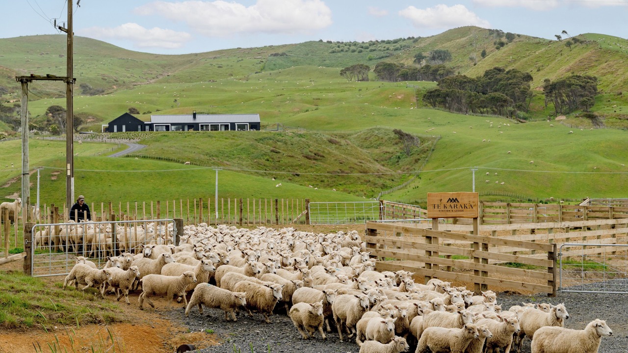 Photo of Others in Te Akau