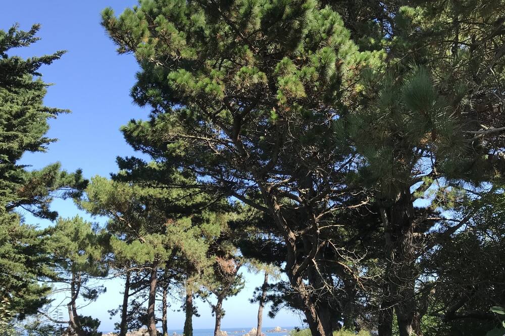 Photo of Others in Ile-de-Brehat