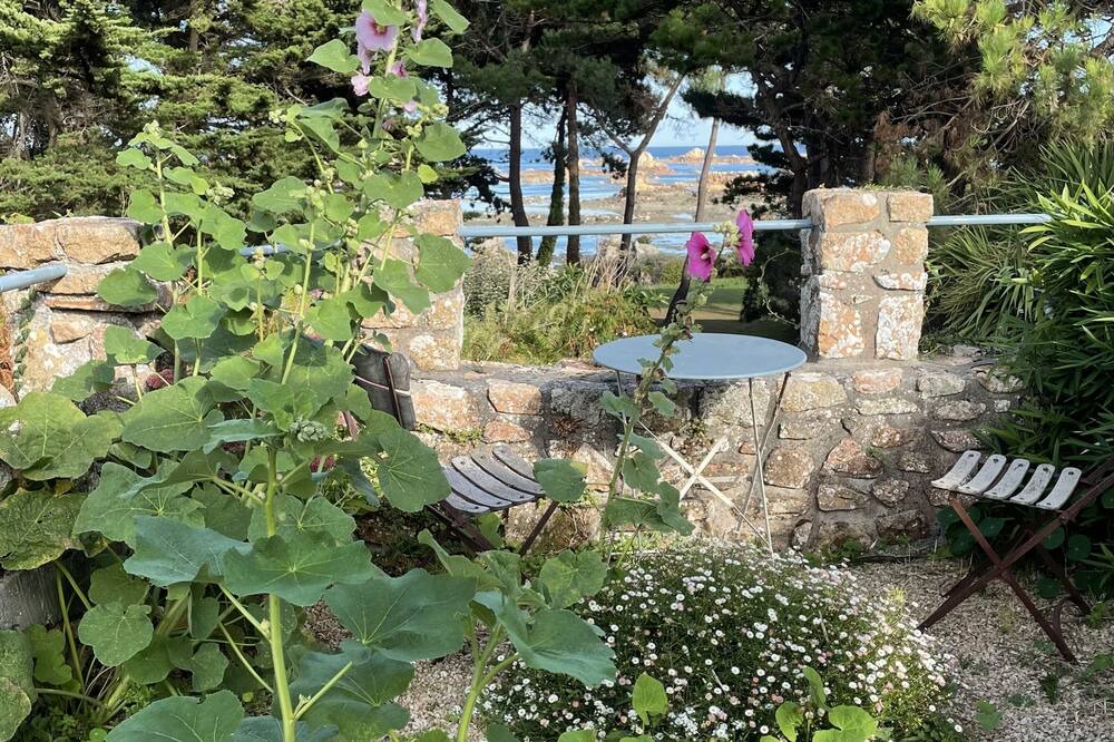 Photo of Others in Ile-de-Brehat