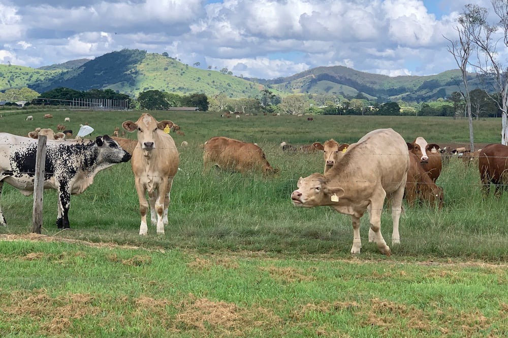 Photo of Others in Kia Ora