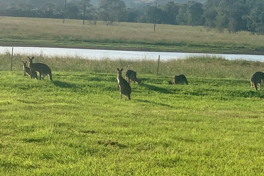Photo of Others in Kia Ora