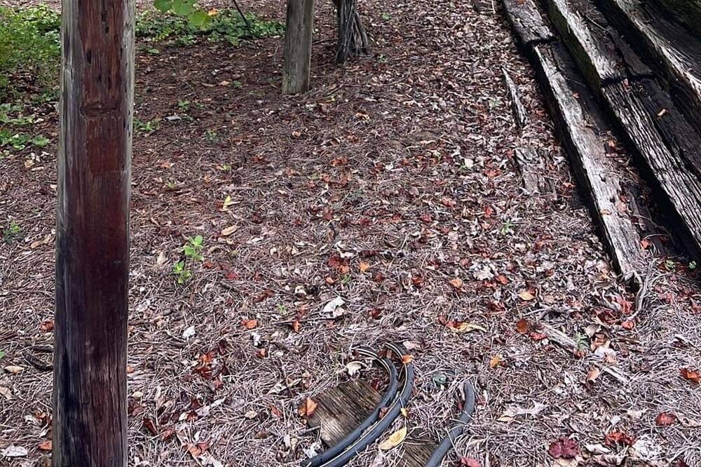 Photo of Others in Fort Gaines