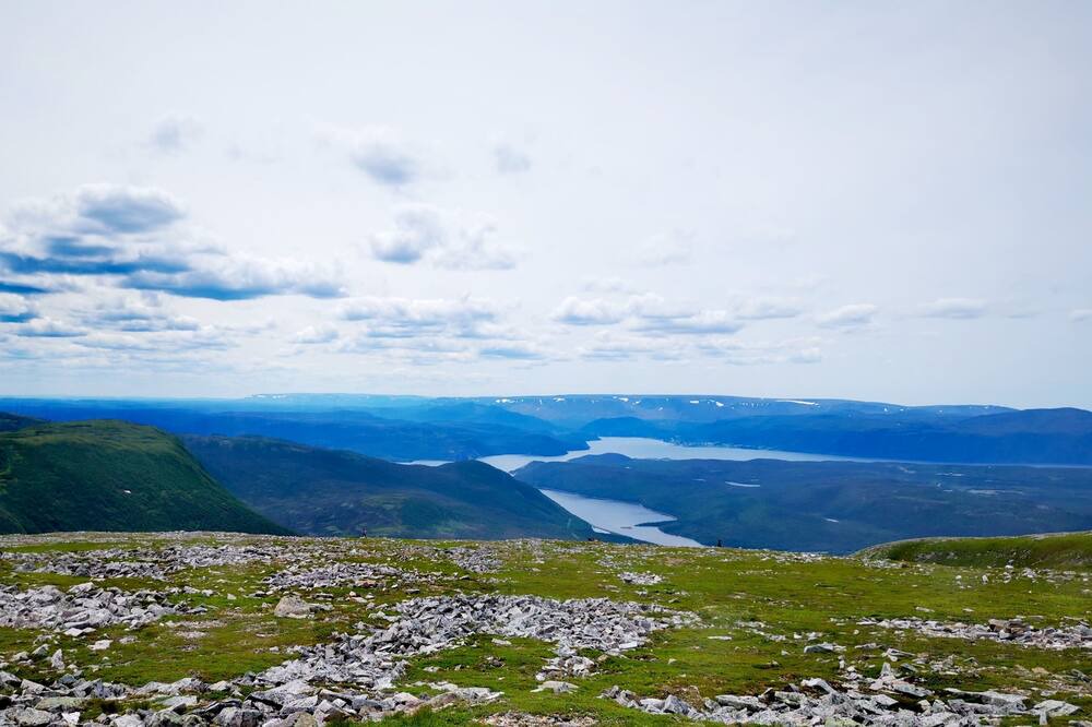 Photo of Outdoor in Trout River