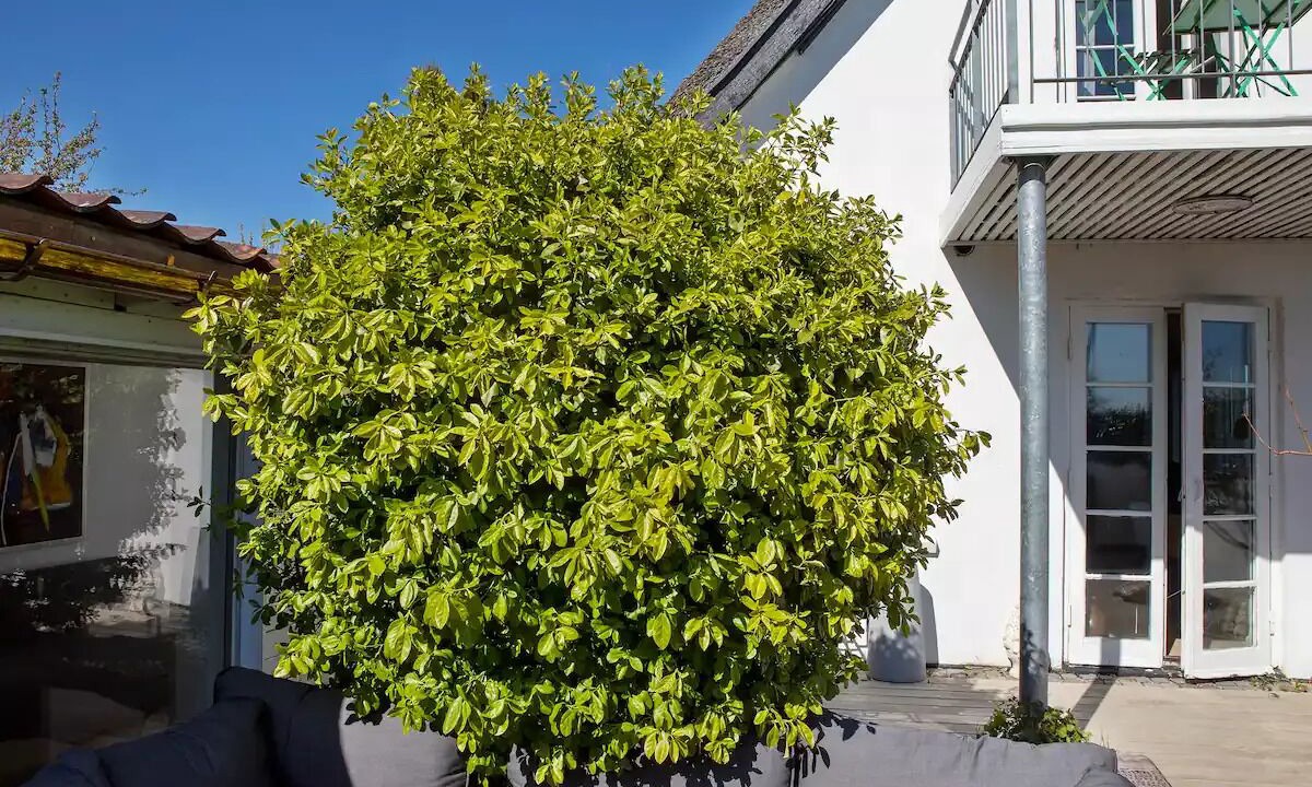 Photo of Outdoor in Snekkersten