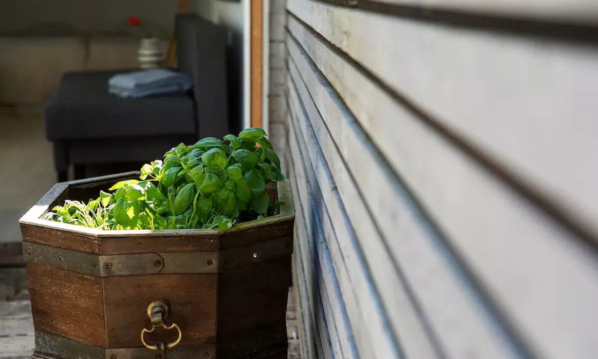 Photo of Others in Snekkersten