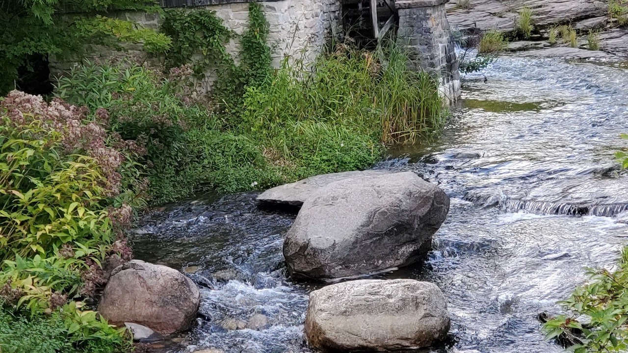 Photo of Outdoor in Sheguiandah
