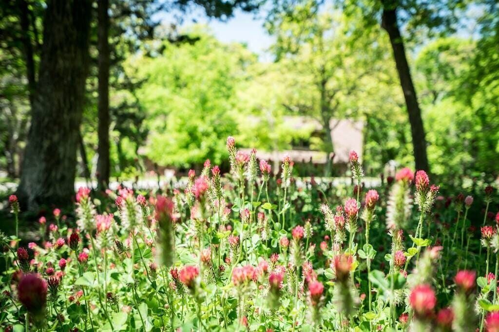 Photo of Outdoor in Edmond