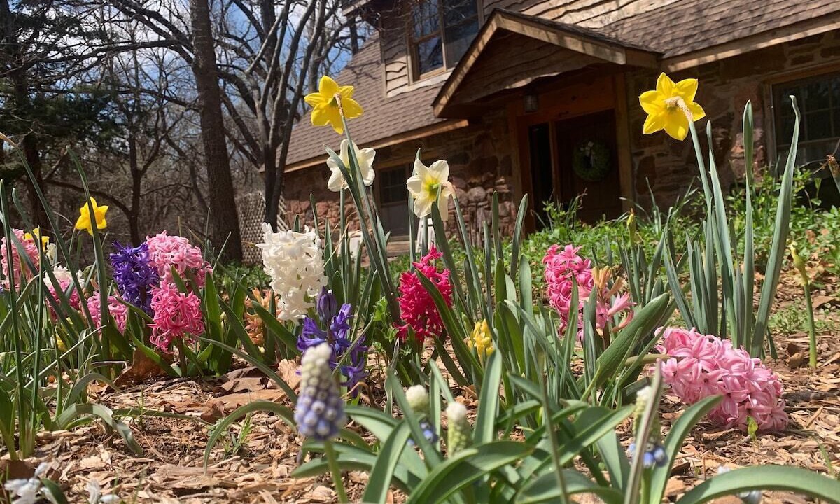 Photo of Outdoor in Edmond