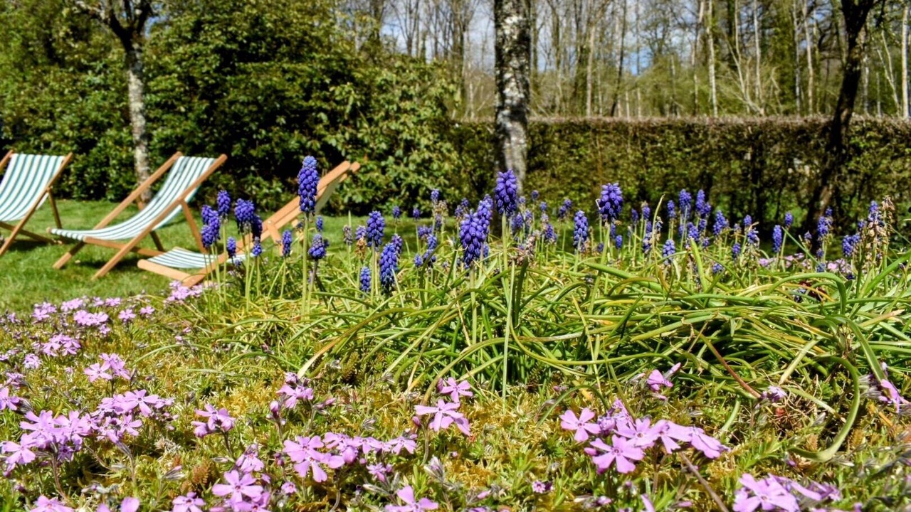 Photo of Outdoor in Longny-au-Perche