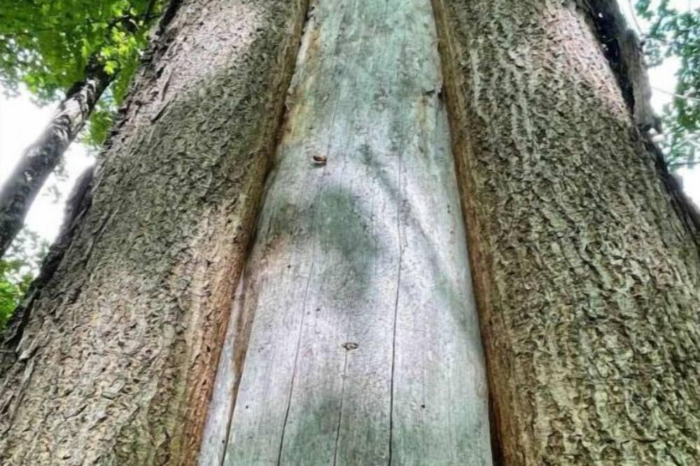 Photo of Outdoor in Austin
