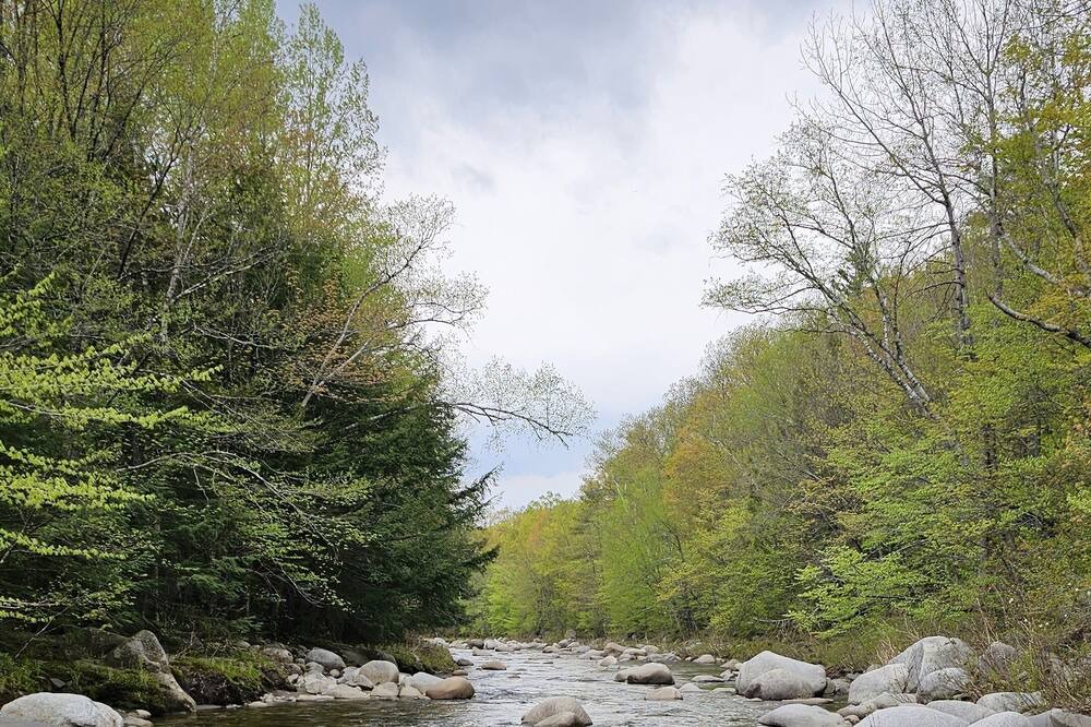 Photo of Others in East Central Franklin