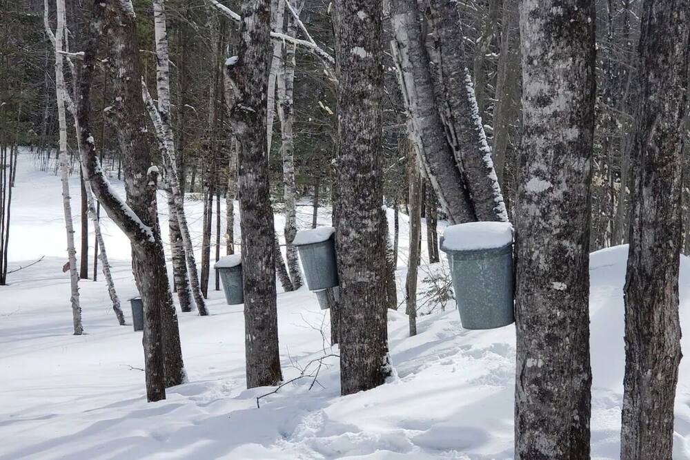 Photo of Others in East Central Franklin